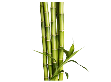 tăm tre tự nhiên dùng làm nhang sạch