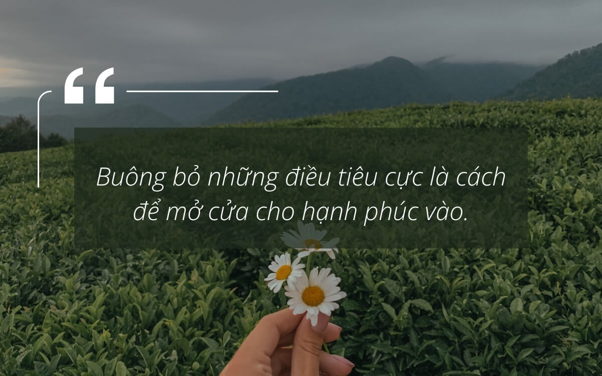 Học Cách Buông Bỏ Trong Cuộc Sống Vô Thường