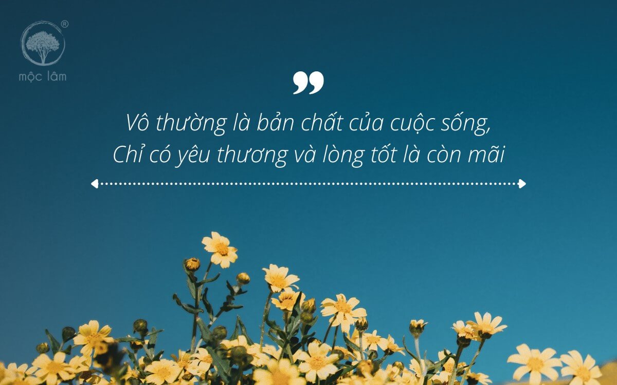 Vô thường là bản chất của cuộc sống, Chỉ có yêu thương và lòng tốt là còn mãi