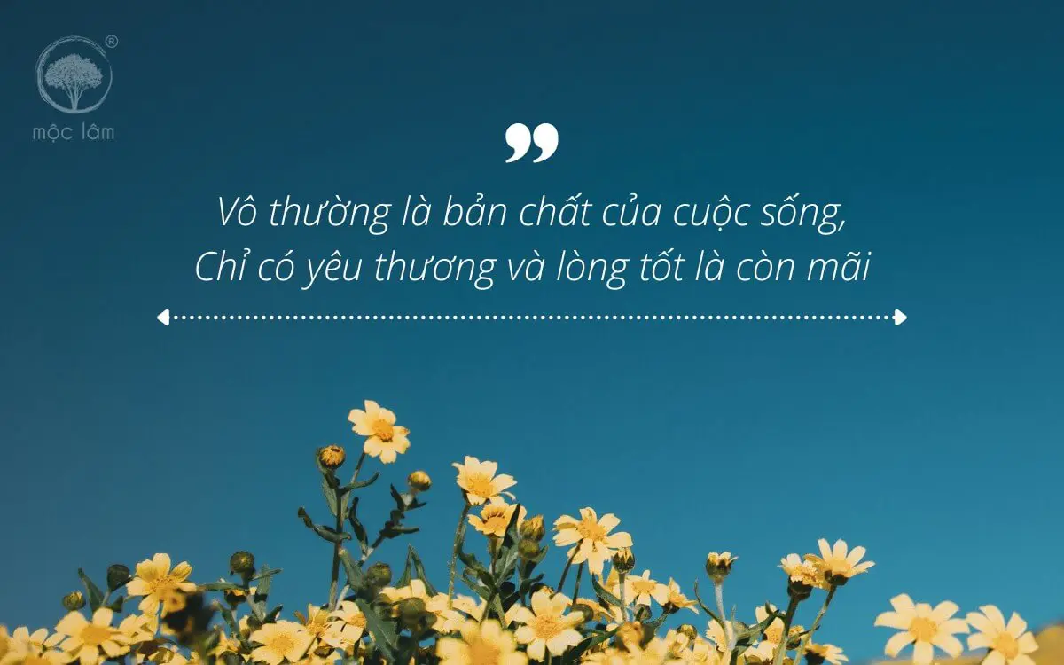 Vô Thường: Khi Đời Người Chỉ Là 1 Chuyến Hành Trình Ngắn Ngủi Vô thường là bản chất của cuộc sống, Chỉ có yêu thương và lòng tốt là còn mãi