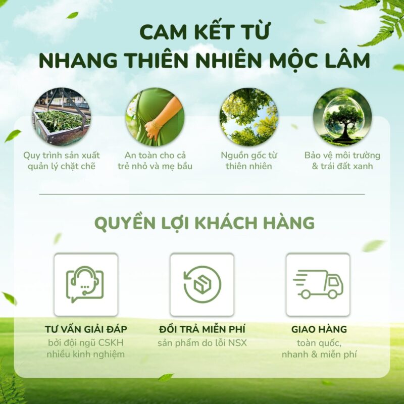 Cam kết và từ nhang mộc lâm, đảm bảo an toàn cho người sử dụng