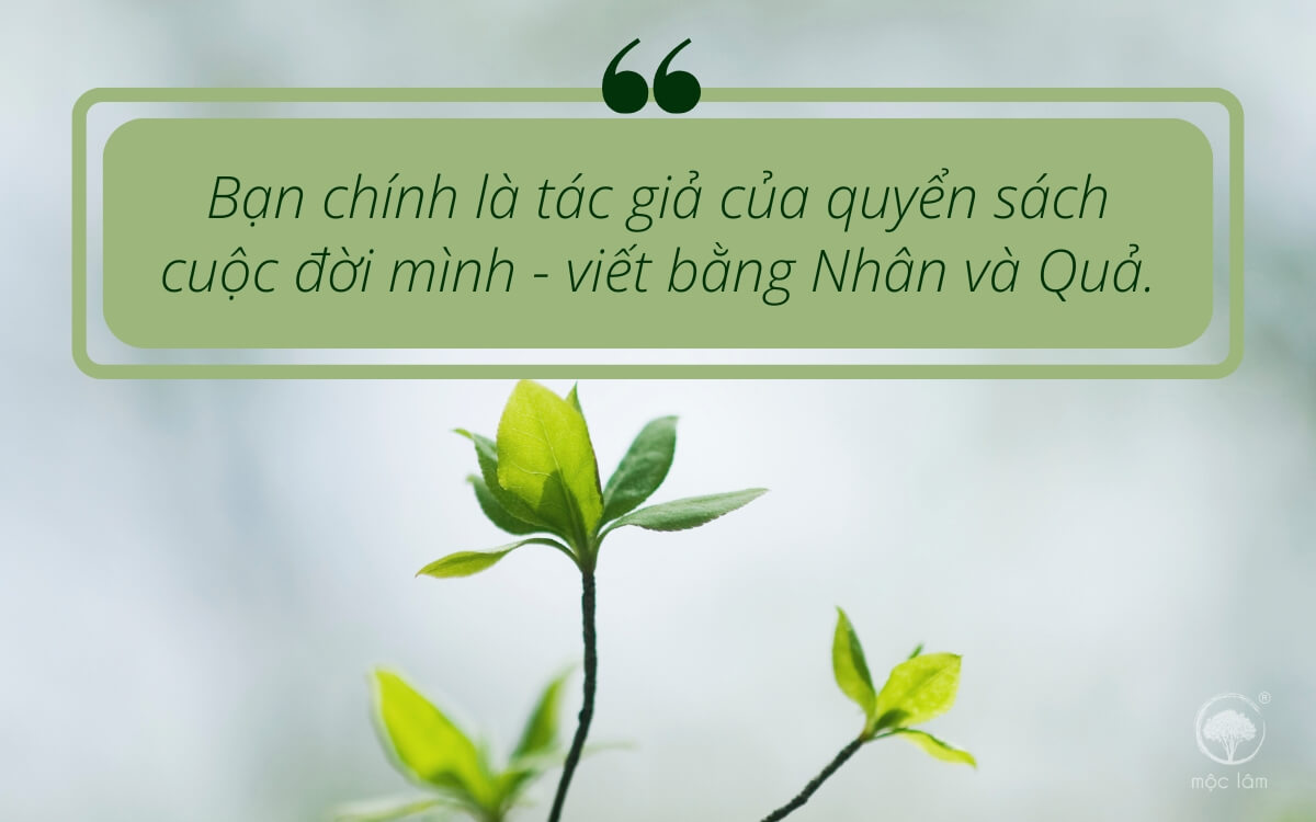 Luật Nhân Quả không chừa một ai