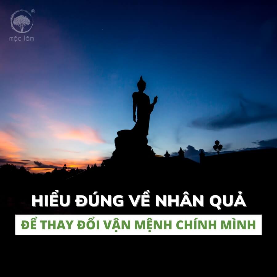 Hiểu Luật Nhân Quả Để Sống Đẹp, Sống Ý Nghĩa Mỗi Ngày