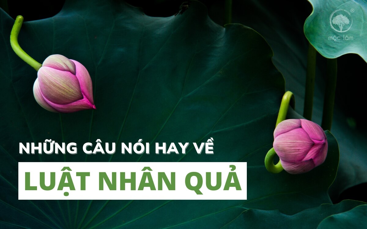 Những câu nói hay về Luật Nhân Quả