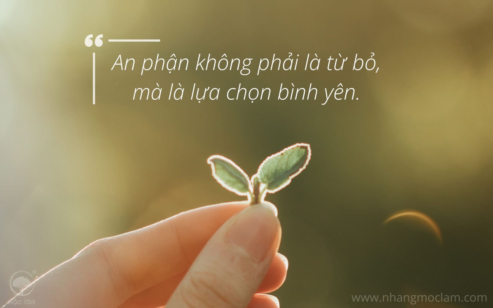 An phận không phải là từ bỏ mà là lựa chọn bình yên