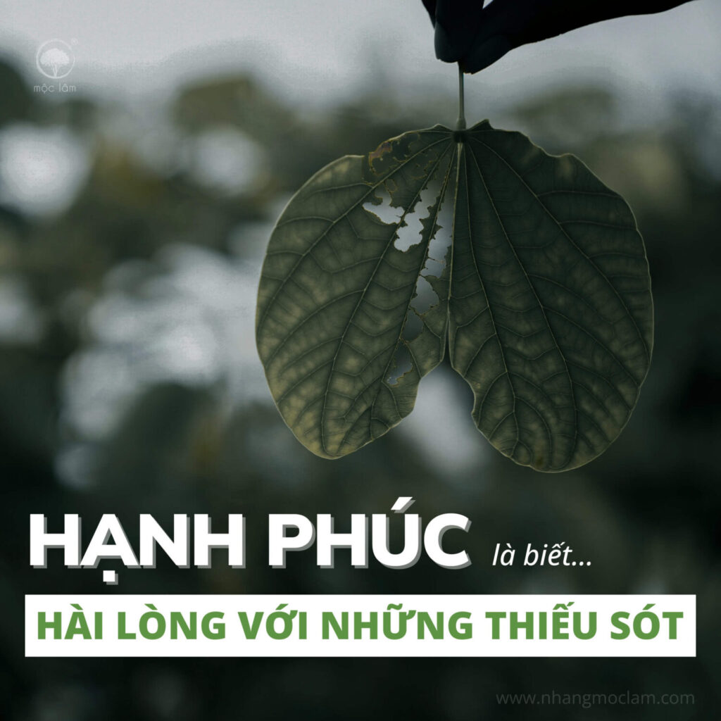 Hạnh phúc là biết hài lòng với những thiếu sót - An phận không phải là từ bỏ mà là lựa chọn bình yên