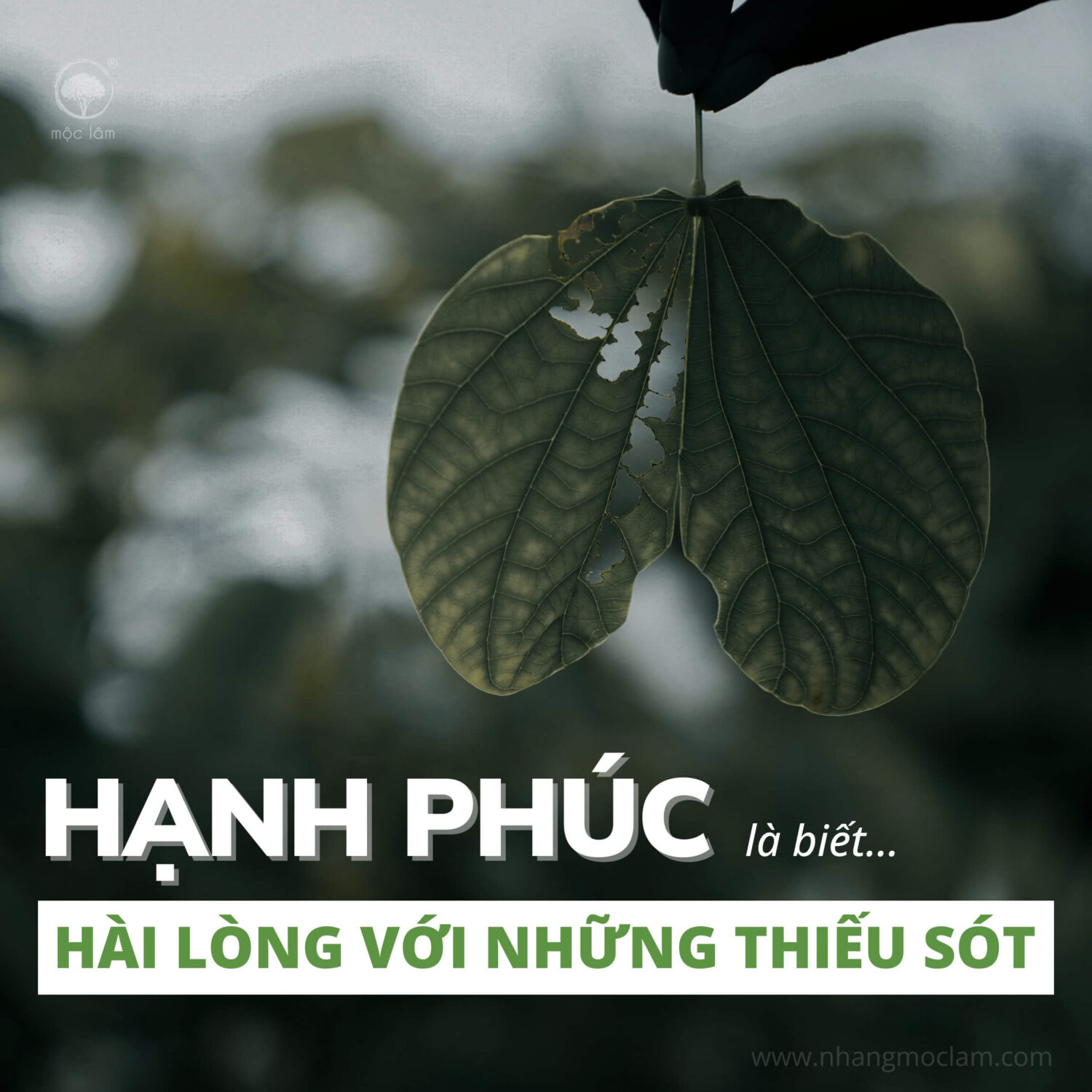 An Phận – Nghệ Thuật Sống Hạnh Phúc Từ Những Điều Giản Đơn