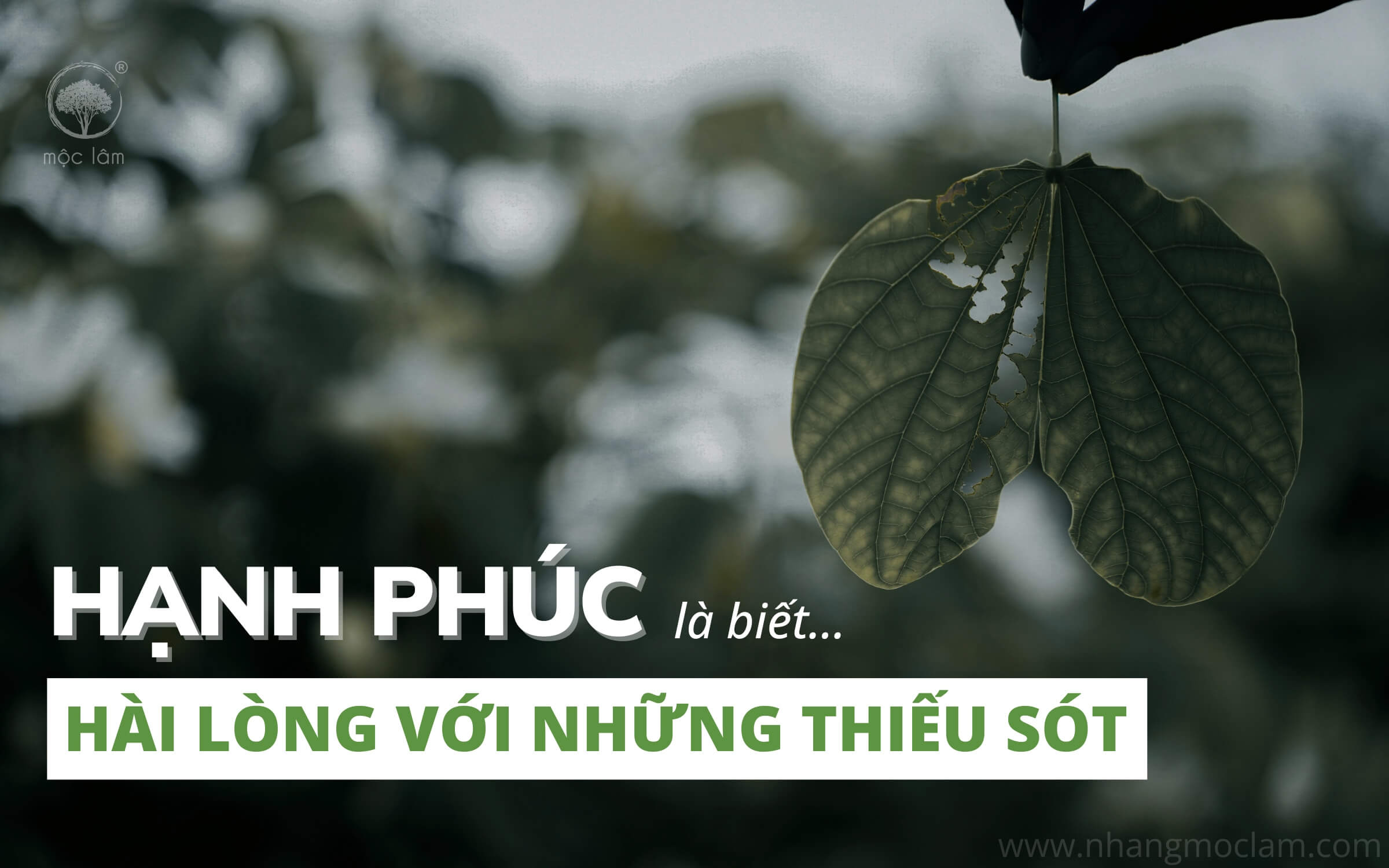 Hạnh phúc là biết hài lòng với những thiếu sót - An phận không phải là từ bỏ mà là lựa chọn bình yên