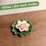 Hồng Liên Nhã Nhặn