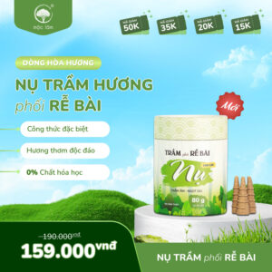 Nụ Trầm Hương phối Rễ Bài mang mùi hương đặc biệt mới lạ của Nhang Mộc Lâm