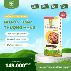 NHANG TRẦM HƯƠNG THƯỢNG HẠNG 20cm - DÒNG TUYỂN CHỌN CỦA NHANG MỘC LÂM