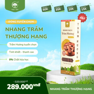NHANG TRẦM HƯƠNG THƯỢNG HẠNG - DÒNG TUYỂN CHỌN CỦA NHANG MỘC LÂM
