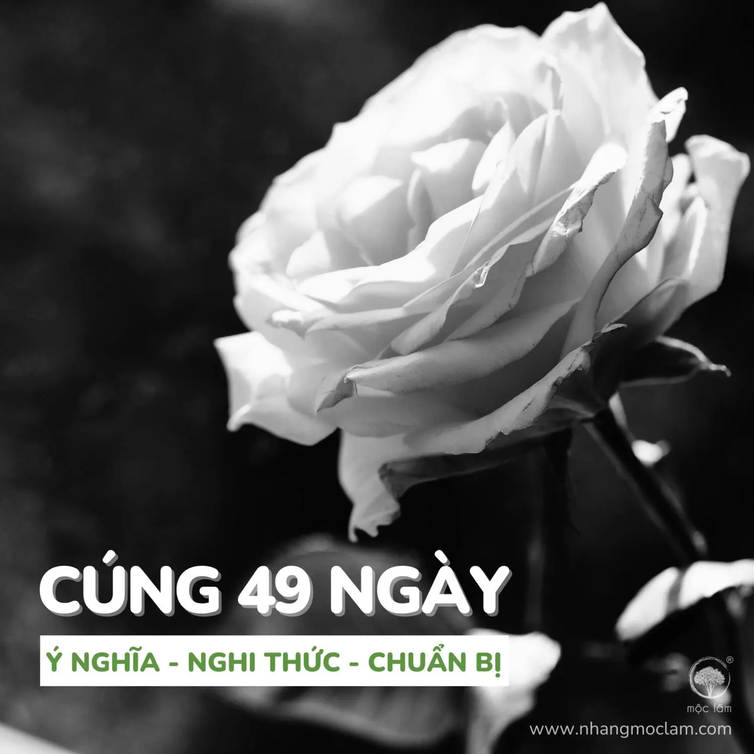 Cách Cúng 49 Ngày Cho Người Mất - Ý Nghĩa Và Nghi Thức