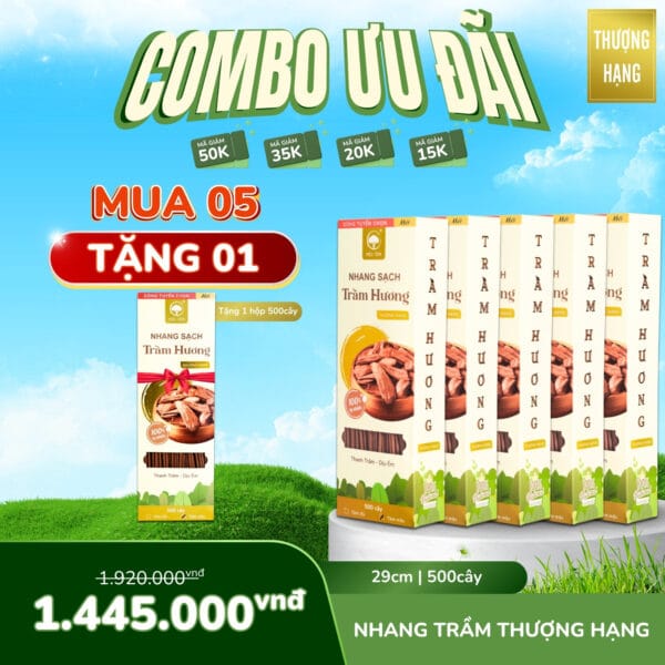 Ưu đãi hấp dẫn MUA 5 TẶNG 1 - Nhang Trầm Hương Ít Khói - chất lượng Thượng Hạng